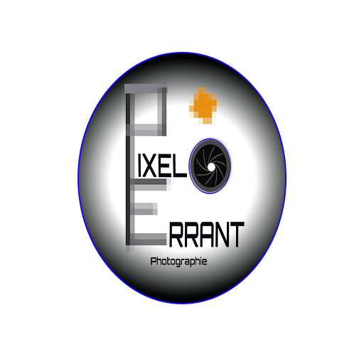 PIXEL ERRANT
