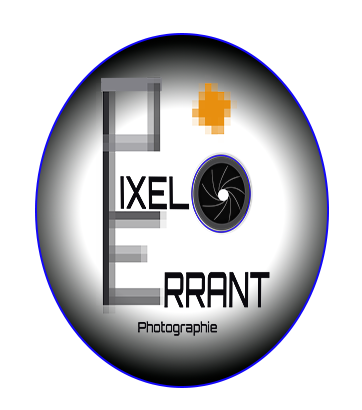 PIXEL ERRANT