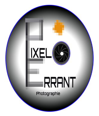 PIXEL ERRANT