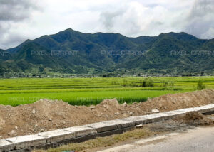 Rizières sur la route de Mu Cang Chai