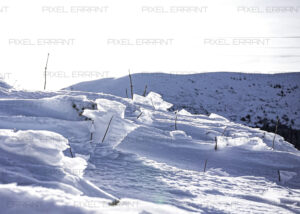 Cristaux de neige
