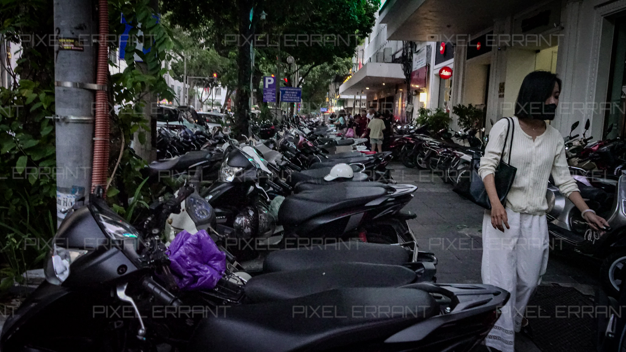 Stationnement discipliné